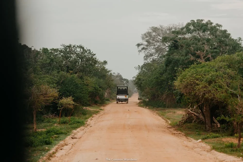 Safari